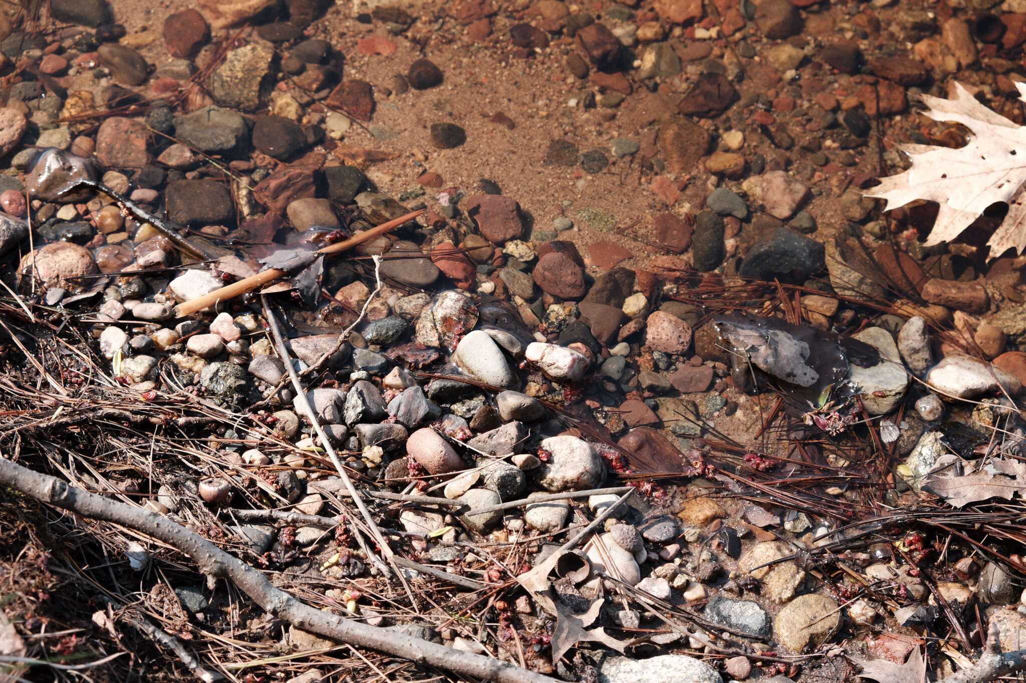 Smooth collection of natural rocks used for creative self-care and grounding exercises to improve mental health.