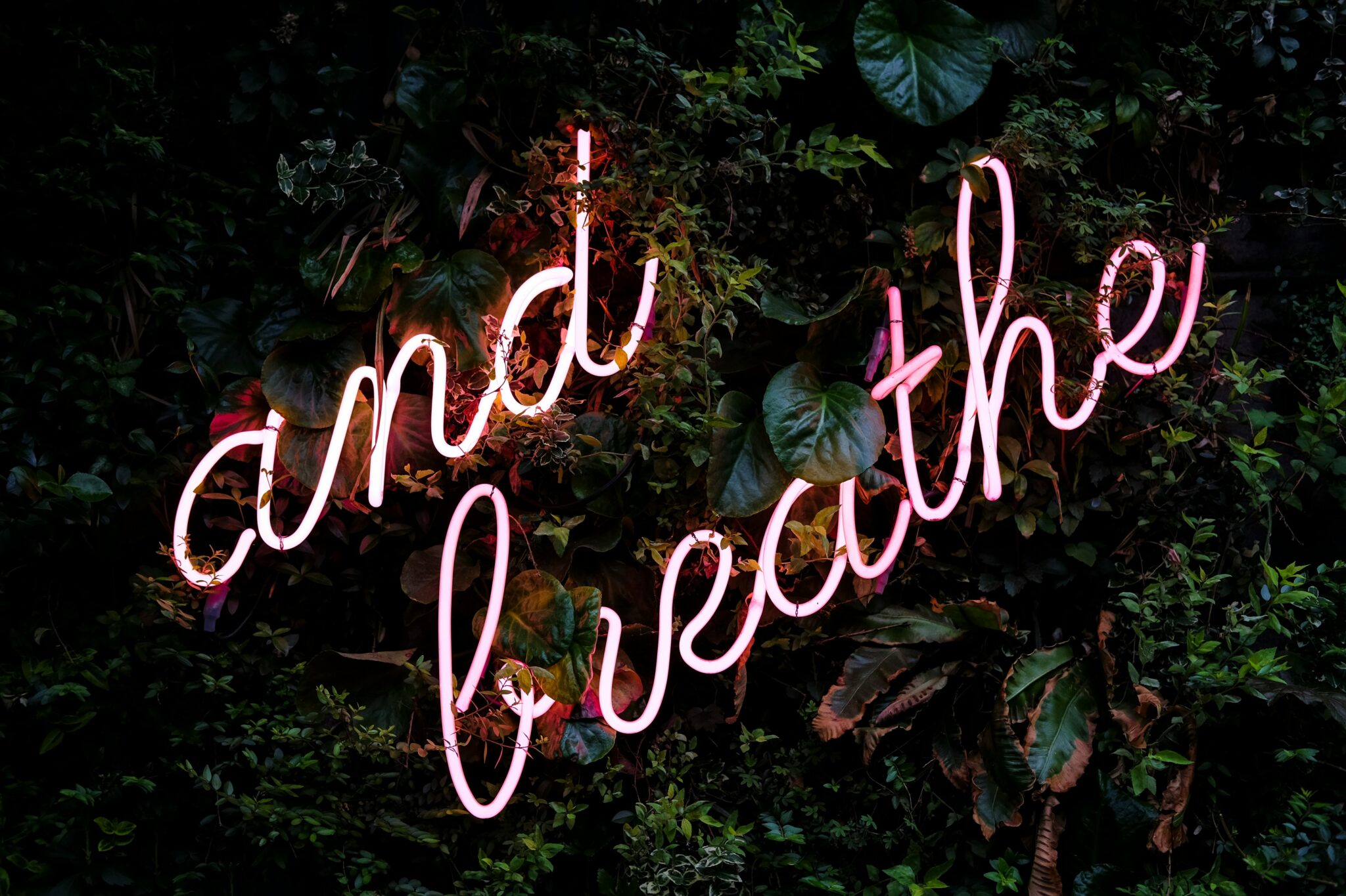 breathe; CBT techniques for managing anxiety