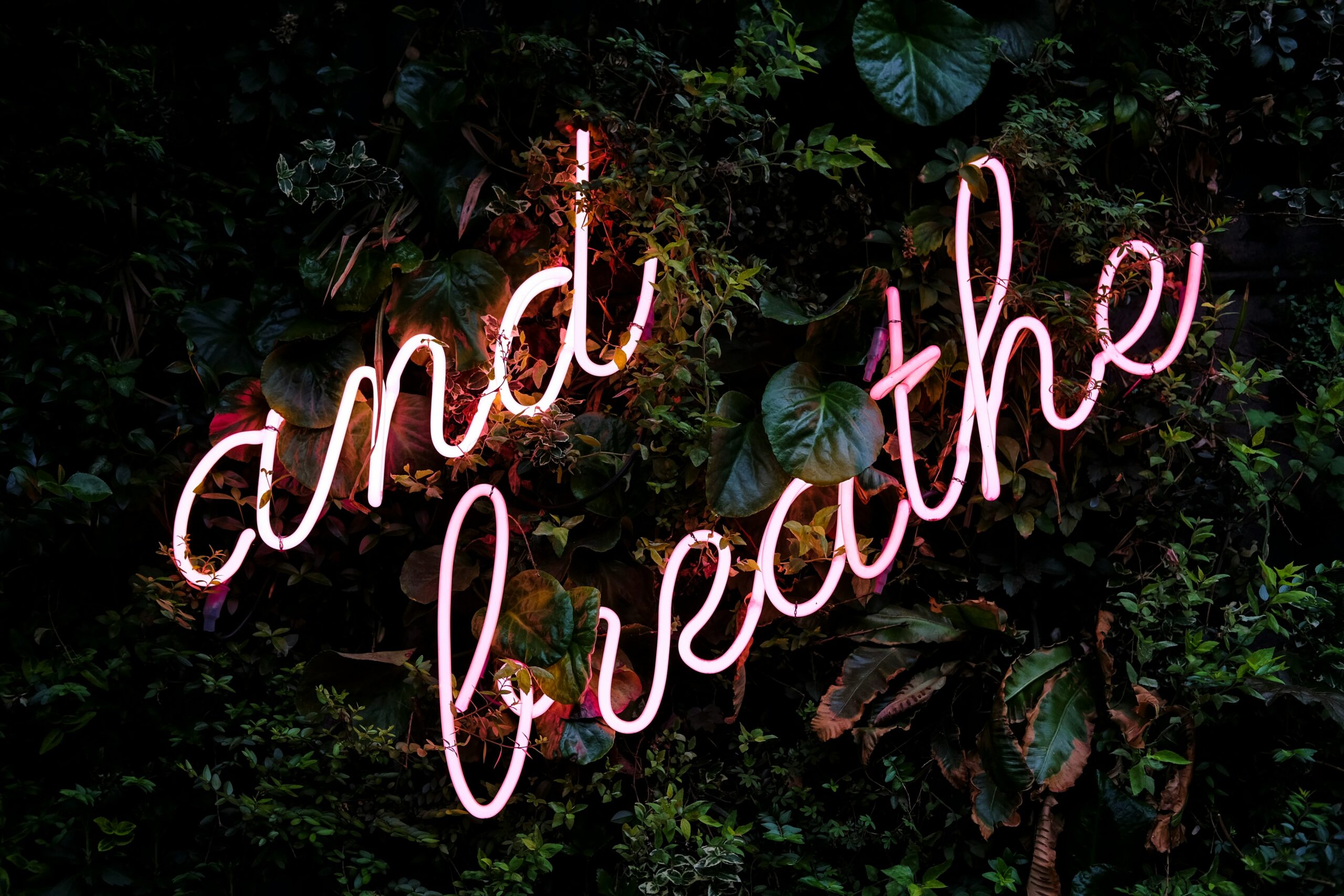 8 CBT Techniques for Managing Anxiety: A Gentle Guide from My Experience