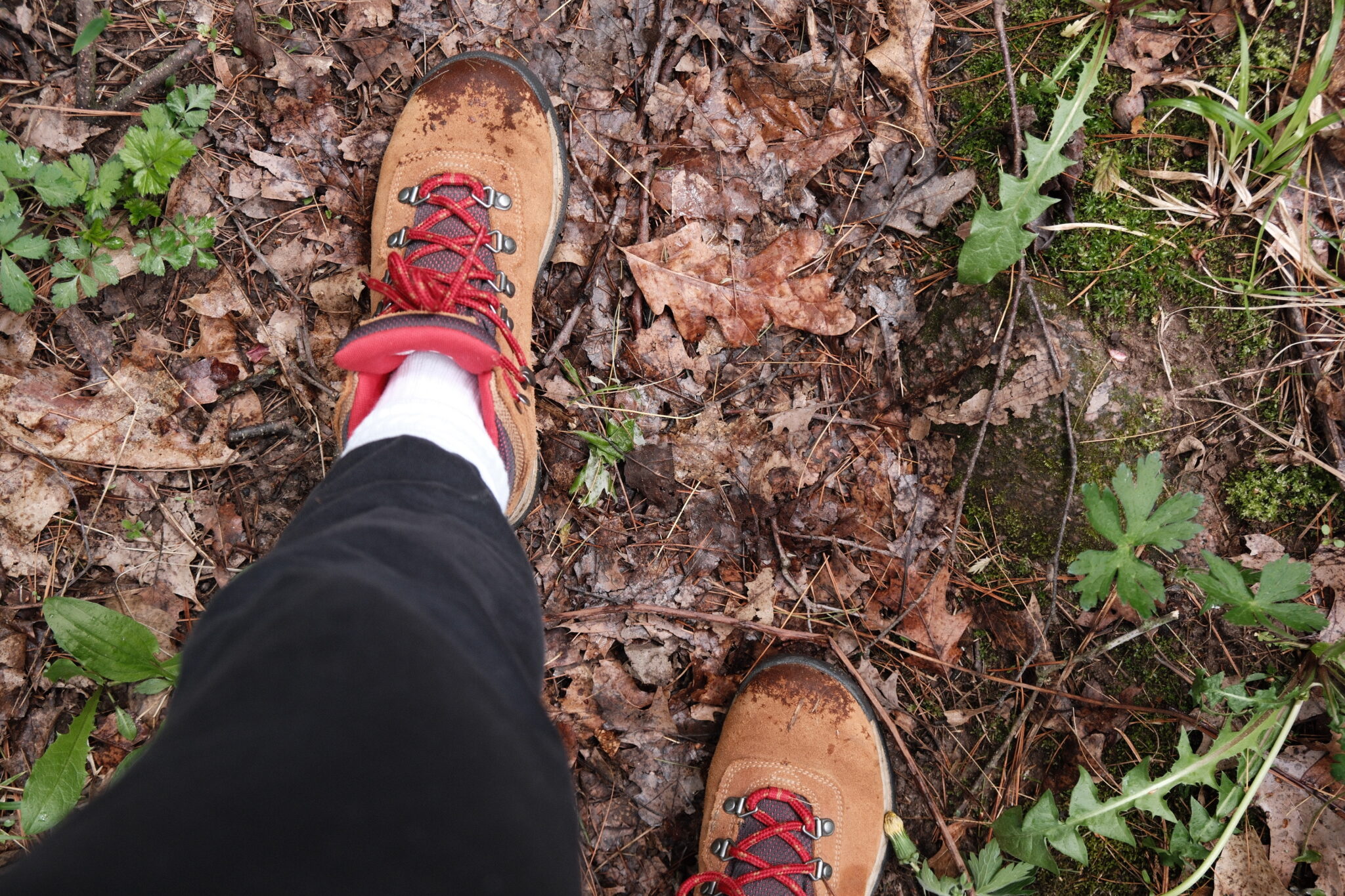 a person's feet in brown boots and black pants