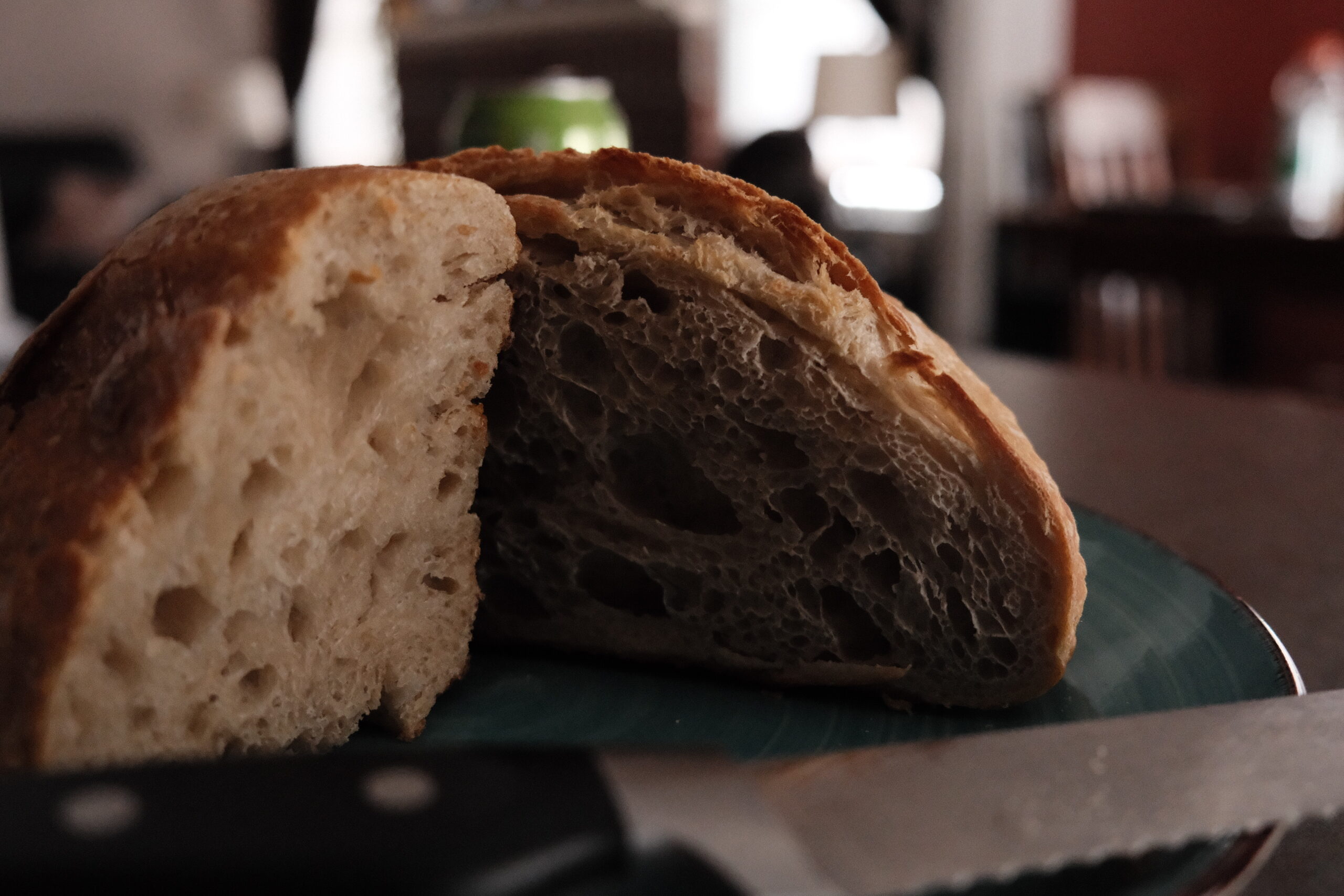 healing foods for lifelong health