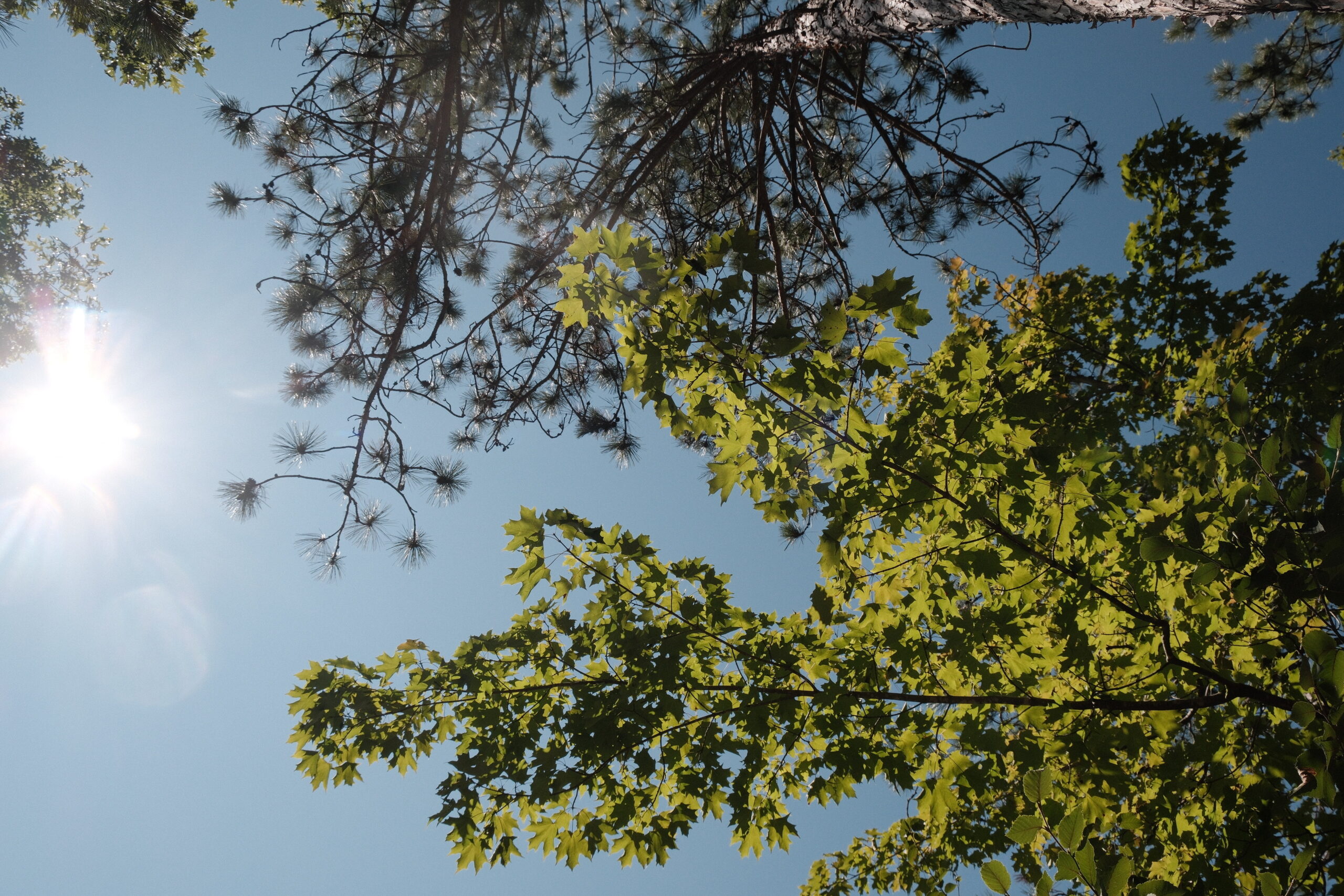 consistency over perfection in health, sustainable wellness habits, and realistic wellness routines