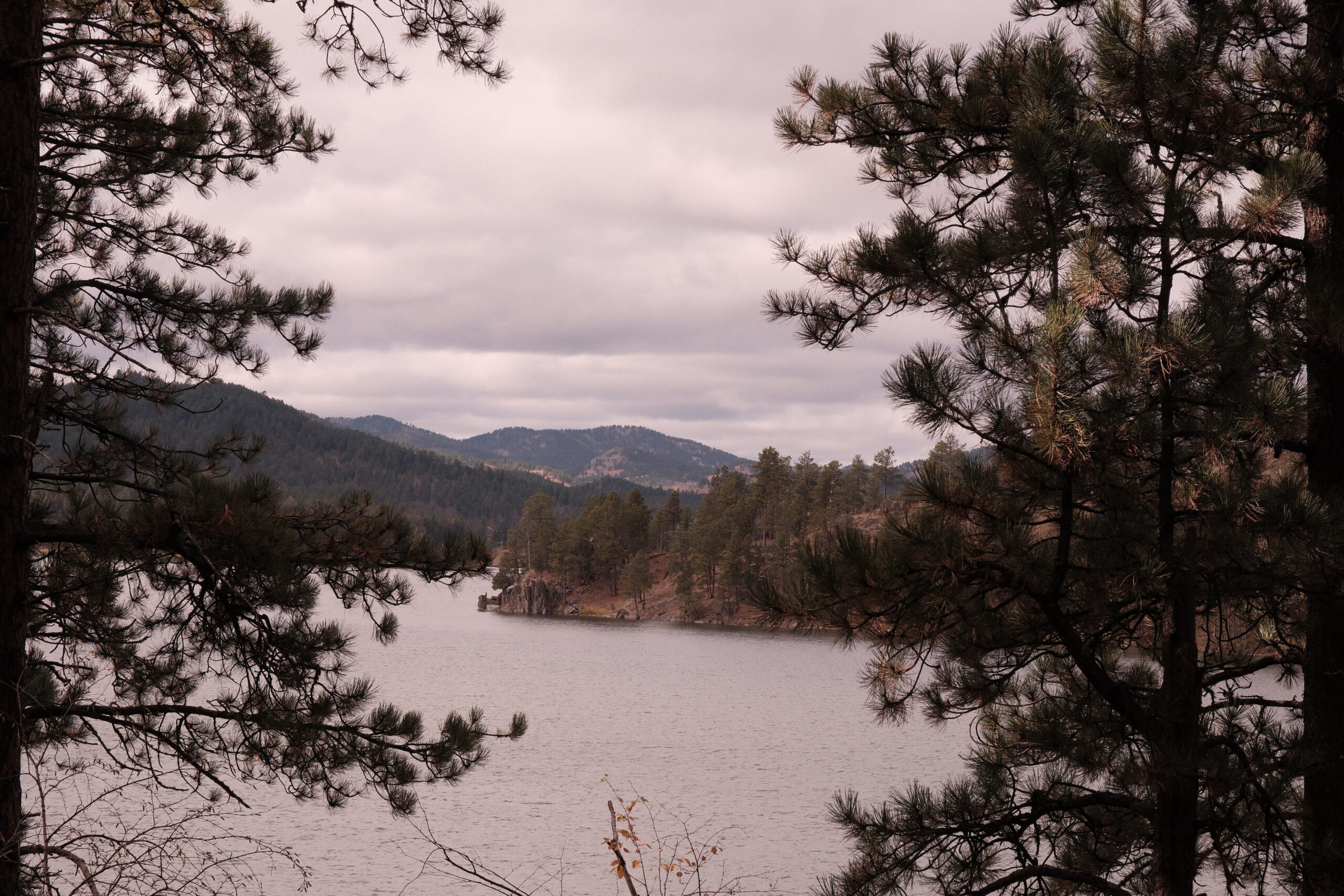 difference between workplace burnout and emotional fatigue