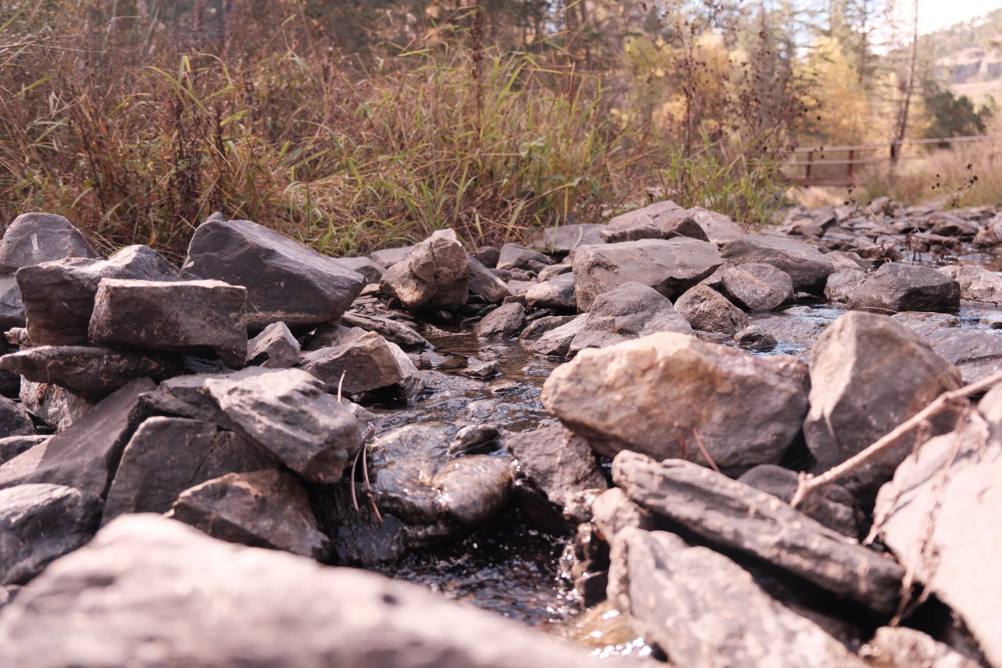 How to build emotional resilience during stressful times with practical strategies, nervous system regulation, and stress recovery techniques.